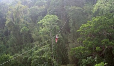 Vader en zoon doodgestoken door zwerm wespen tijdens ziplinen in Laos