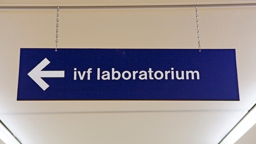 Voor tienduizenden euro's een embryo uitkiezen op basis van IQ en lengte