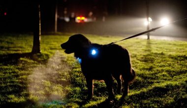 Stroomstoring in Drenthe, meer dan 10.000 adressen getroffen