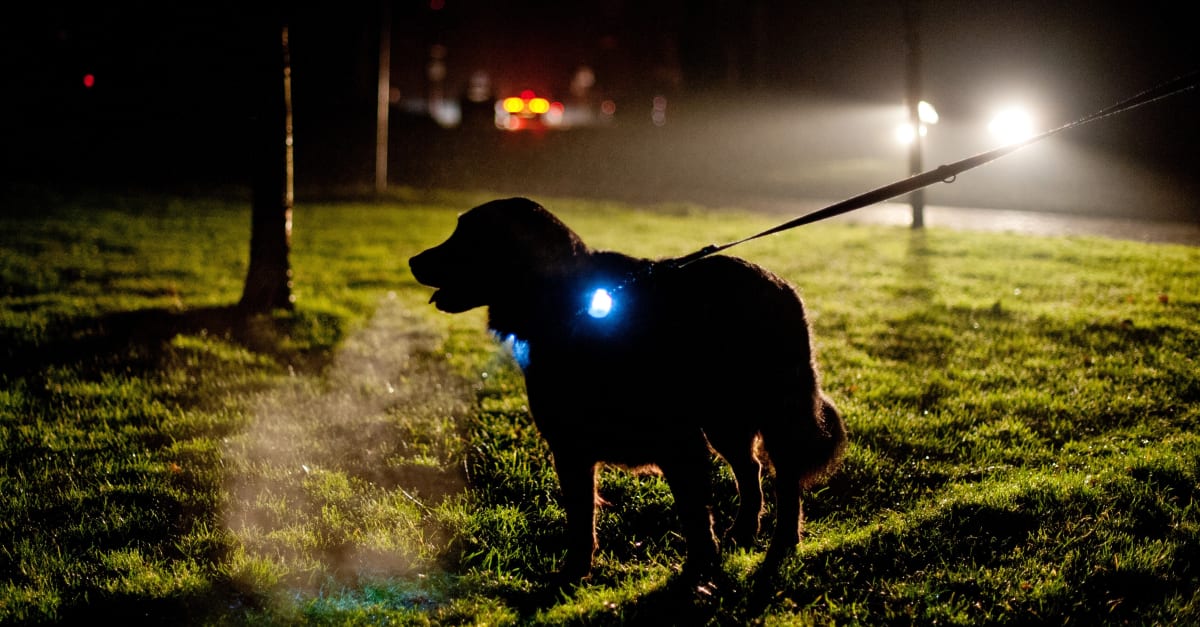 Stroomstoring in Drenthe, meer dan 10.000 adressen getroffen