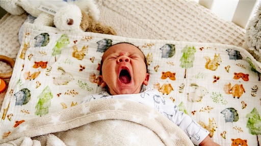 Britse primeur: baby's geboren met DNA van drie mensen