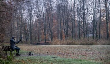 Winters weer pruttelt nog even na, maar zachte lucht is onderweg