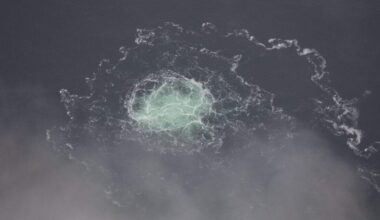 De 49-jarige Serhiy K. is een voormalig lid van de Oekraïense geheime dienst en zou de aanslagen op de pijpleidingen in september 2022 hebben gecoördineerd.