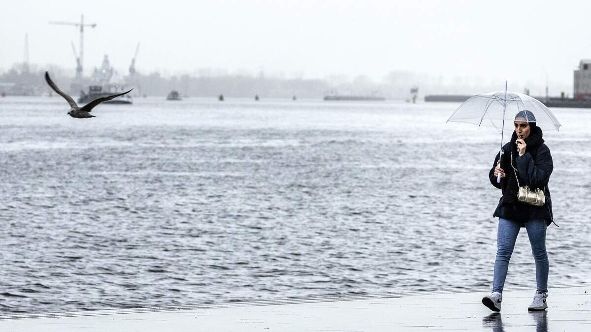 Na het winterse weekend loopt de temperatuur weer op. 