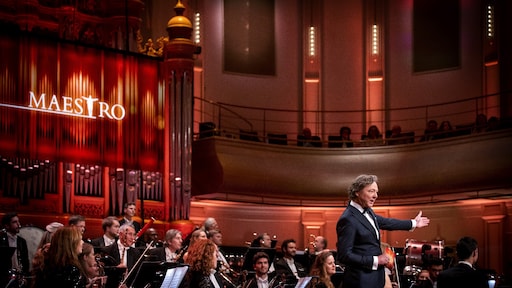 Dit zijn de nieuwe Maestro-kandidaten