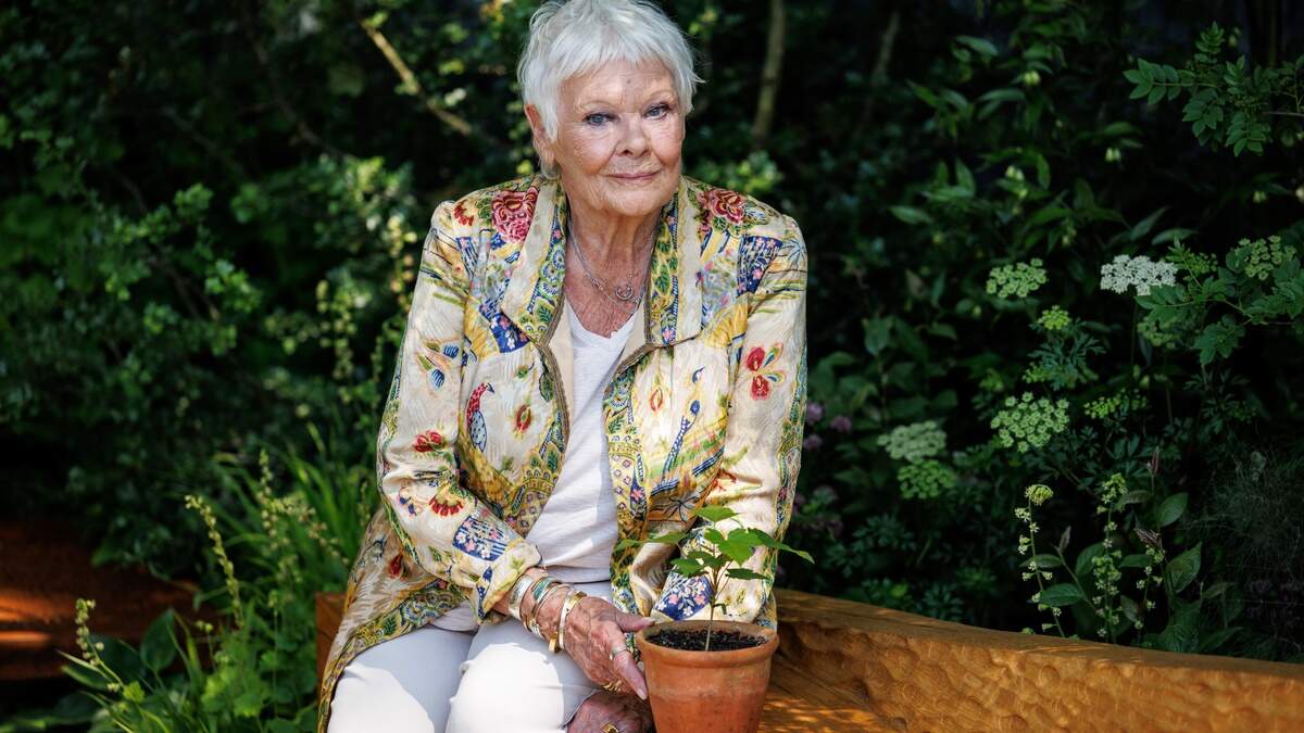 Judi Dench in 2024.