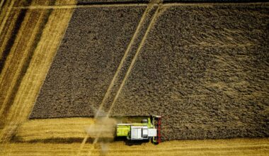 Jagen op frauderende boeren werkt – toch stopte de opsporing van grondfraude - Follow the Money