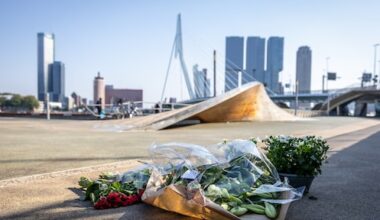 blinde vlekken in zorg verdachte mesaanval Erasmusbrug