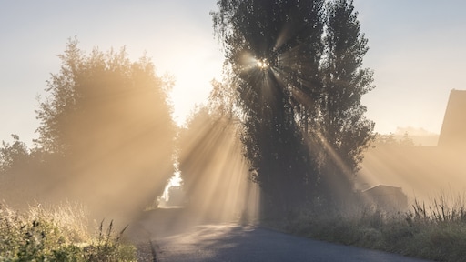 Code geel vanwege dichte mist, eind van de week kans op temperatuurrecord