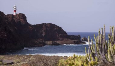 Beeld ter illustratie.