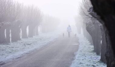 Na een zachte periode dalen de temperaturen komende week. Winterse neerslag behoort tot de mogelijkheden. Ook is er kans op de eerste nachtvorst.
