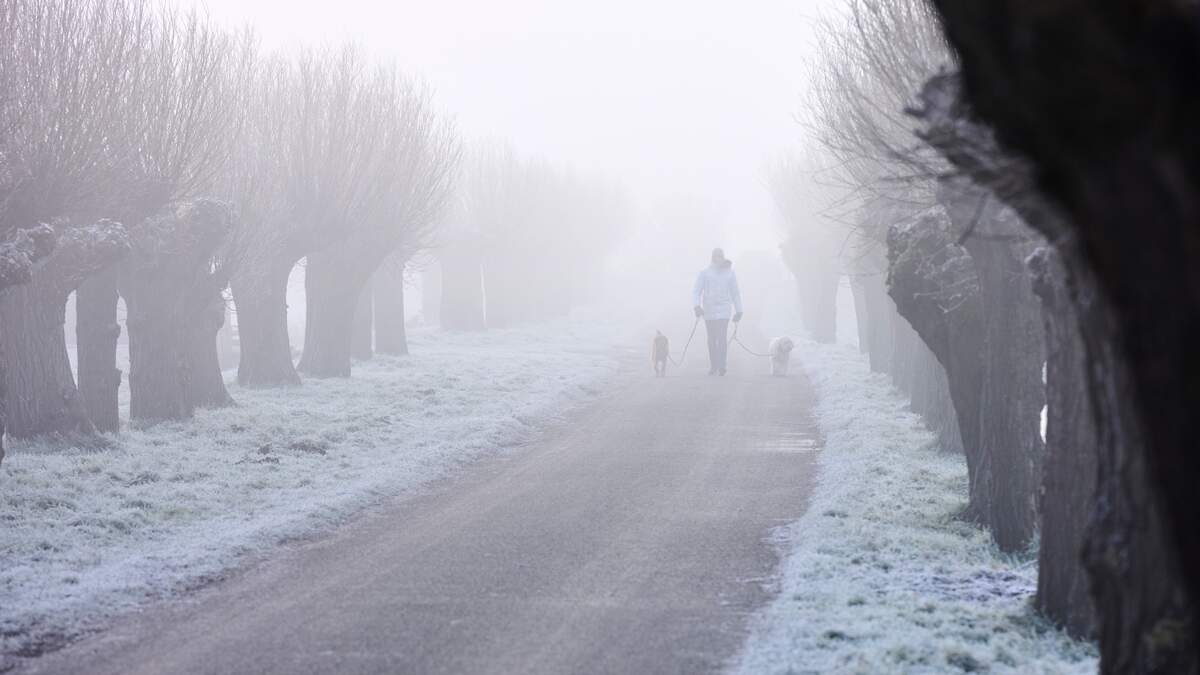 Na een zachte periode dalen de temperaturen komende week. Winterse neerslag behoort tot de mogelijkheden. Ook is er kans op de eerste nachtvorst.