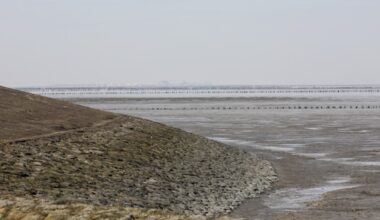Toch geen gaswinning onder Waddenzee bij Ternaard, kabinet betaalt NAM 163 miljoen
