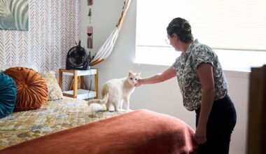 Slaapkamers vol met pesticiden: hoe komen die daar?