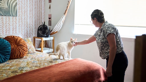 Slaapkamers vol met pesticiden: hoe komen die daar?