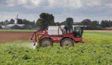 Te veel acetamiprid in Jumbo-rozijnen: zo gevaarlijk is dat