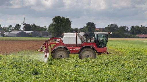 Te veel acetamiprid in Jumbo-rozijnen: zo gevaarlijk is dat
