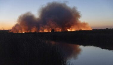 Rook na een Russische aanval nabij Pokrovsk in september.