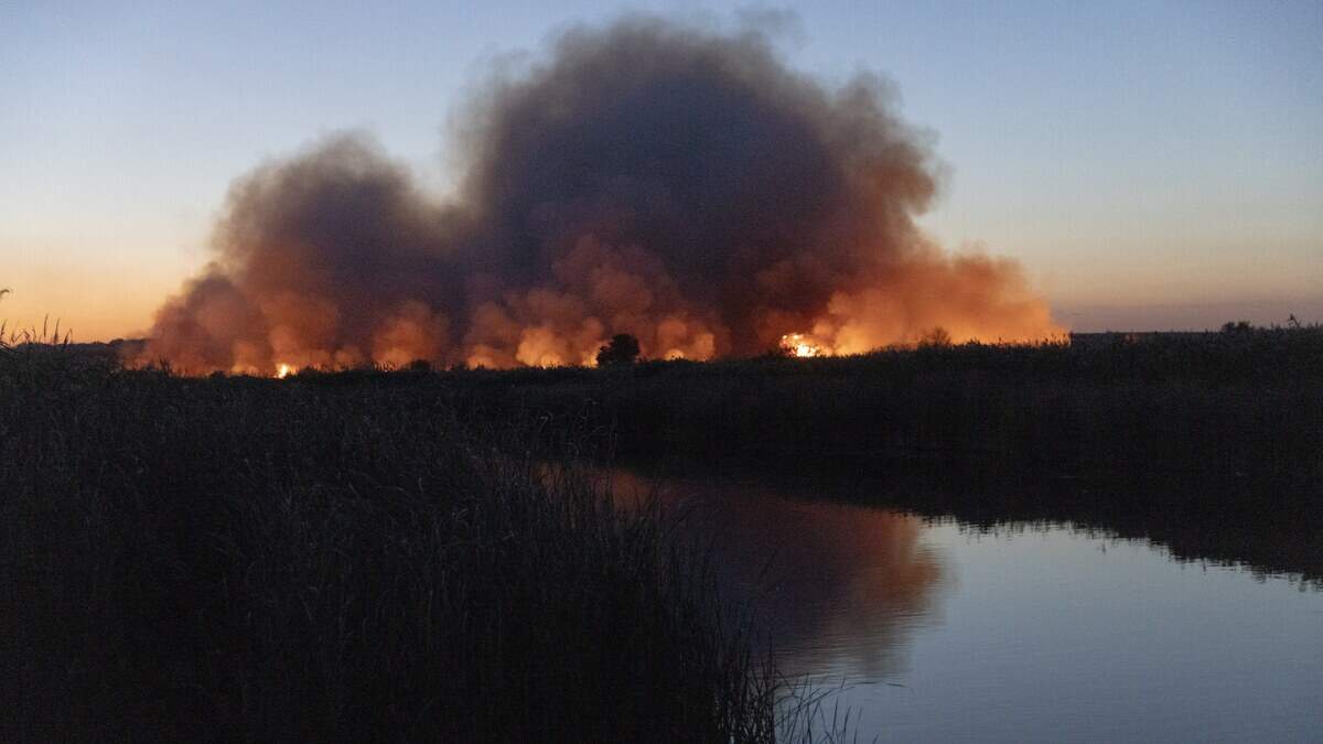 Rook na een Russische aanval nabij Pokrovsk in september.