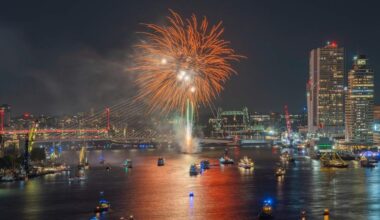 Vuurwerkshow bij de Erasmusbrug in Rotterdam.