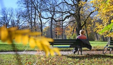 Nog twee dagen lenteachtig en zonnig novemberweer, daarna komt de mist