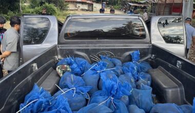 Smokkelaars met in totaal 143 apen opgepakt in Thailand