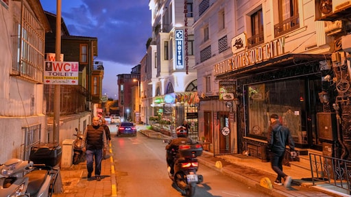 ook autopsie van omgekomen gezin Istanbul wijst op giftig fosfide in hotelkamer