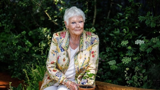 Judi Dench kan door oogziekte niemand meer herkennen: 'Kan contouren zien'