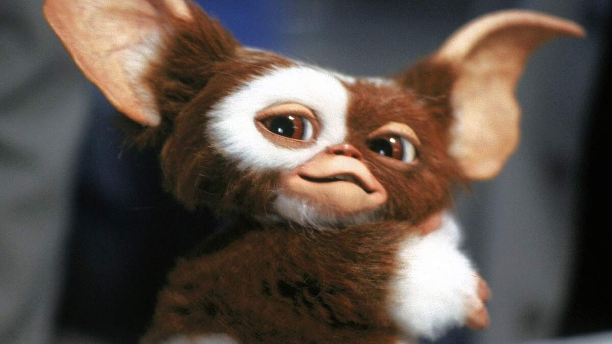 43 jaar na het origineel komt er een derde ‘Gremlins’-film - Nieuwsblad