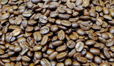 Een dagelijkse kop koffie lijkt eerder een vriend dan een vijand van het hart, blijkt uit een studie.