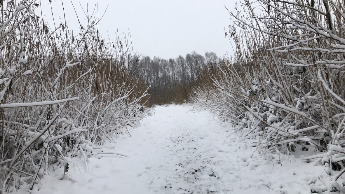Sneeuw? IJzel? Natte sneeuw? Zo herken je alle soorten winterse neerslag