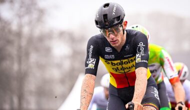 geen oorzaak van stroeve Aardbeiencross