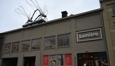 Van het water naar het dak