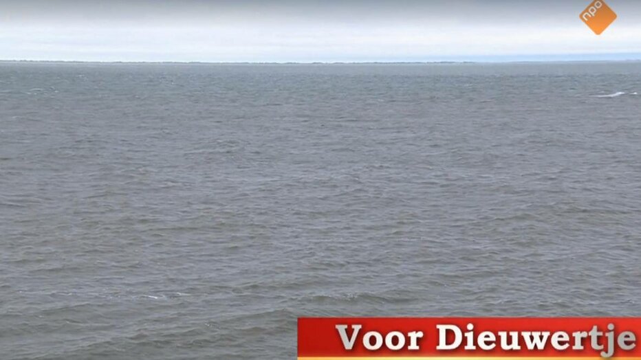 Collega's onder de indruk van ode aan Dieuwertje