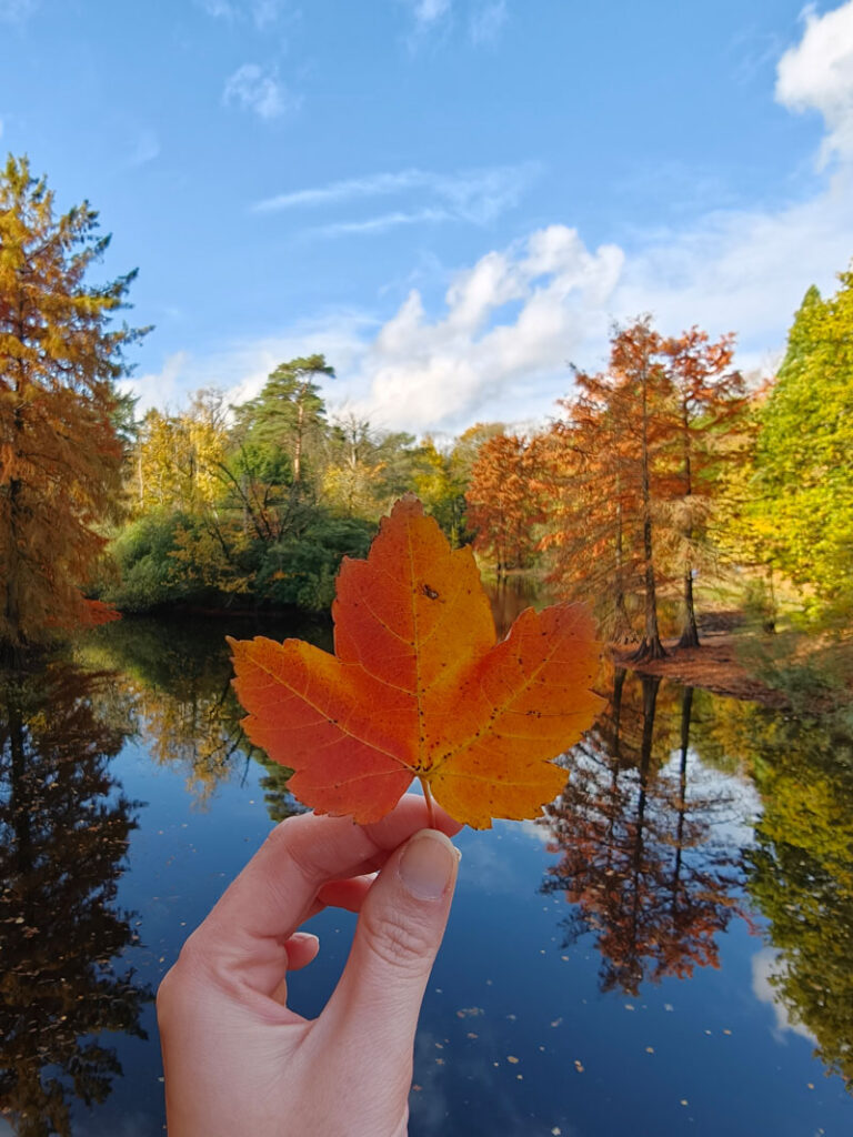 OPPO Find X9 Pro smartphone camera