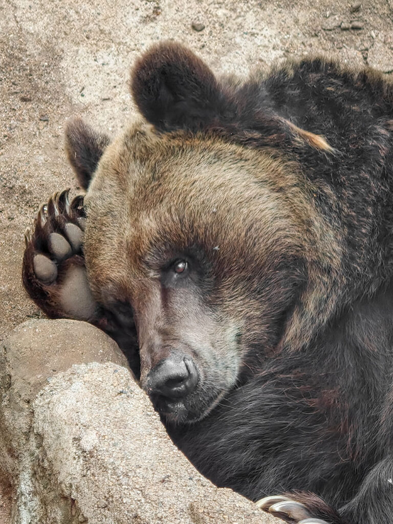 OPPO Find X9 Pro smartphone camera