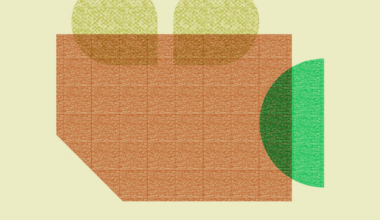 Van de nieuwe Yorgos Lanthimos tot de biopic van ‘The Boss’: dit zijn de beste films van dit moment