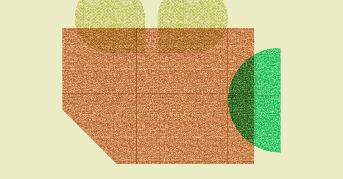 Van de nieuwe Yorgos Lanthimos tot de biopic van ‘The Boss’: dit zijn de beste films van dit moment