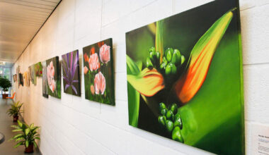 FOTO. CSC 9185 geeft elf kunstenaars een podium in Cultuurhuis Safarken