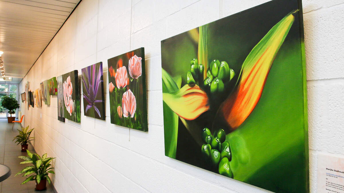 FOTO. CSC 9185 geeft elf kunstenaars een podium in Cultuurhuis Safarken