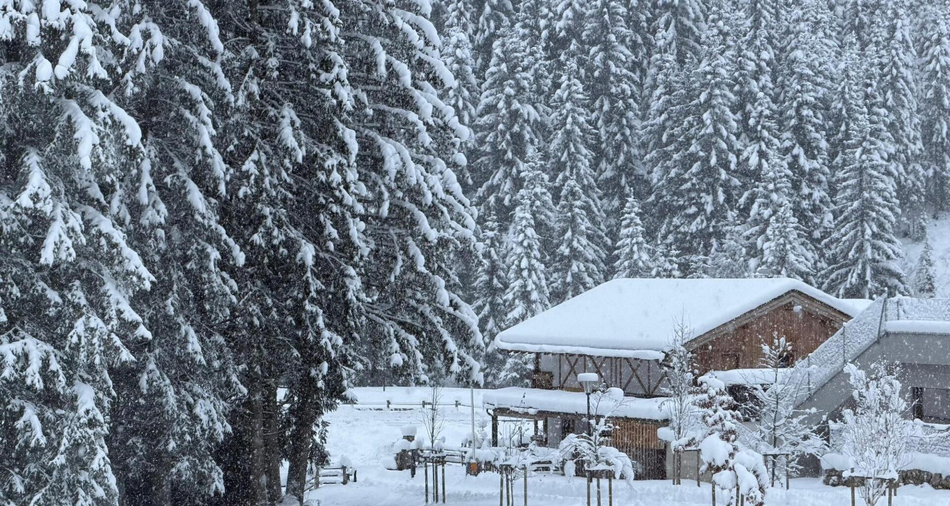 Laatste dag van de sneeuwdump: het blijft maar sneeuwen