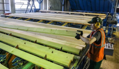 Russische bosbouw gaat sterk achteruit door sancties en economische druk