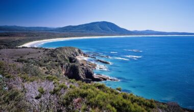 Haai bijt vrouw dood in Australië, omstanders redden zwaargewonde man