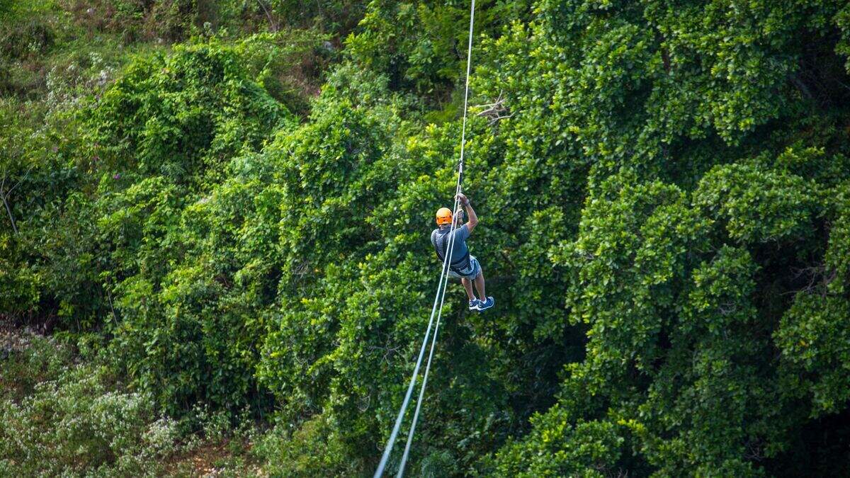 Beeld ter illustratie.