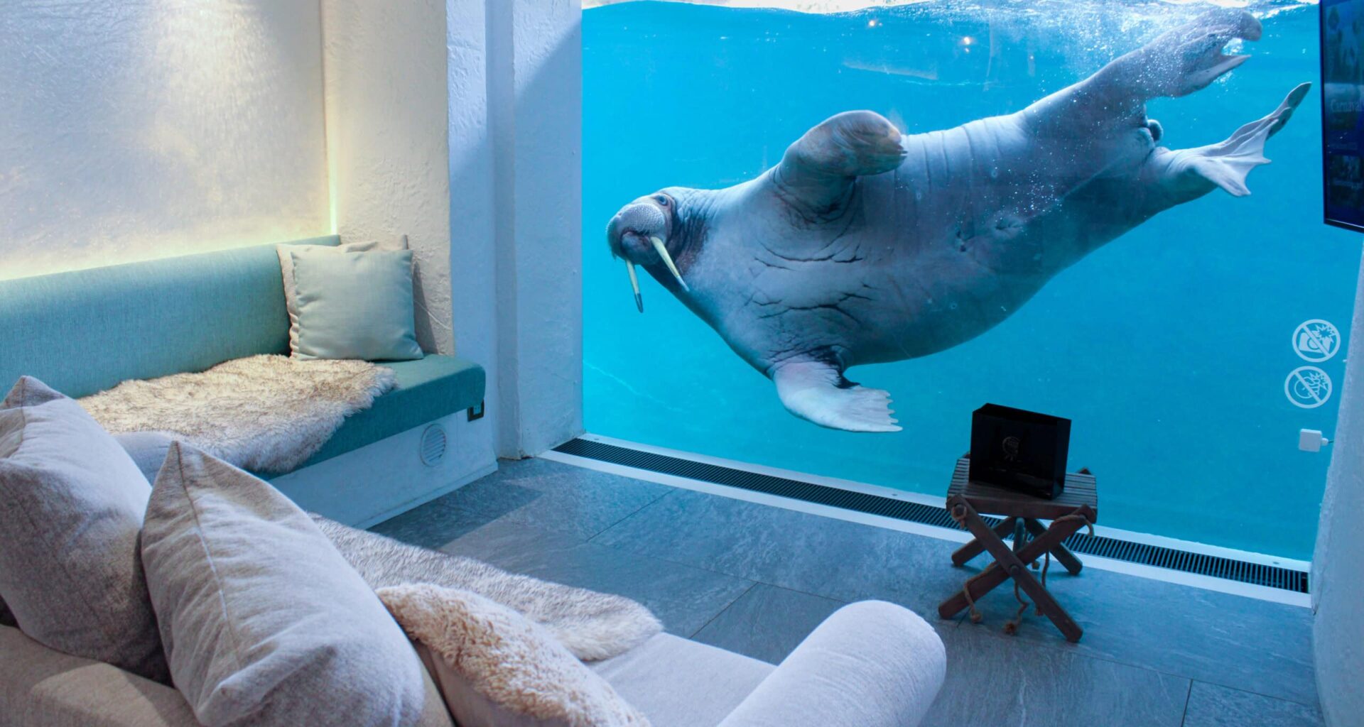 Pairi Daiza opent boekingen voor resort in 2026: 35.000 mensen in de wachtrij