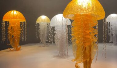 De Zwerm - Ieder uniek, samen één