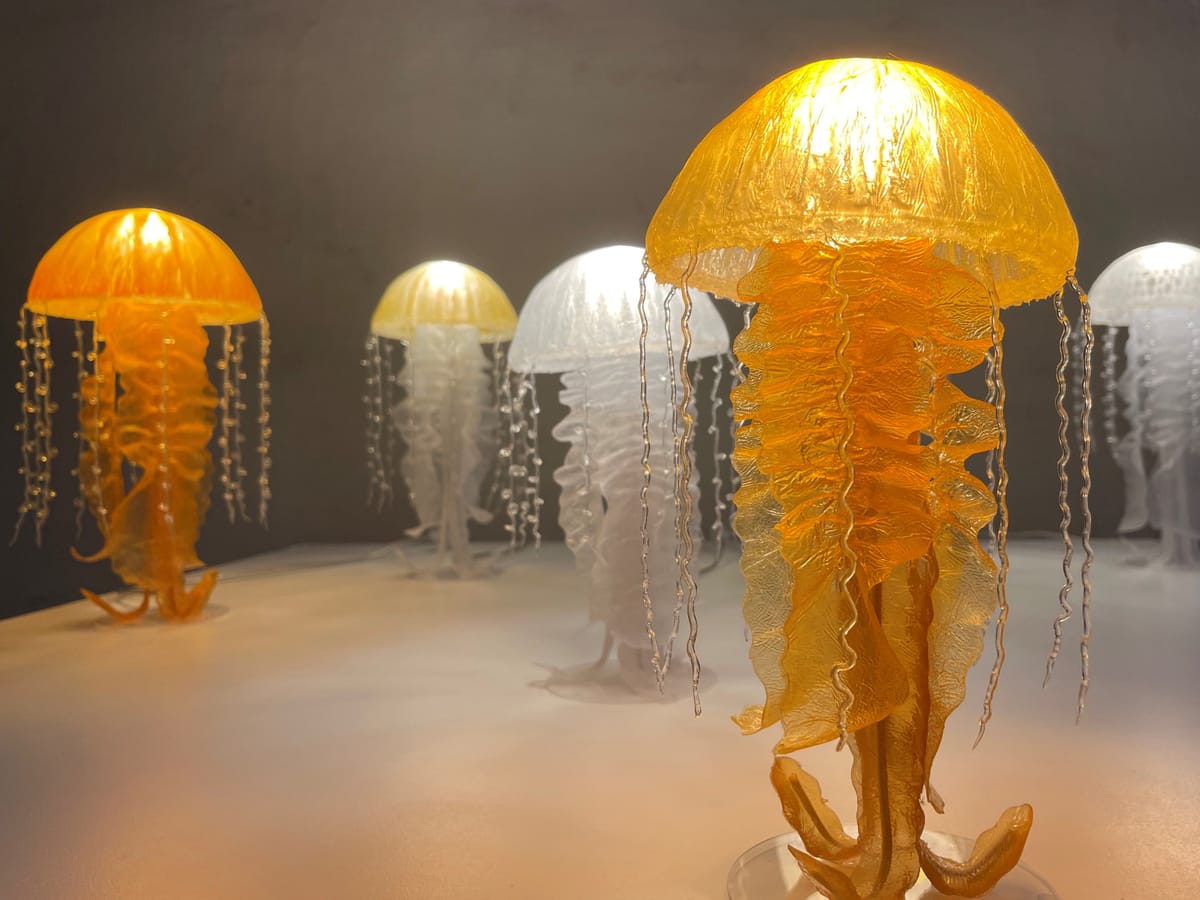 De Zwerm - Ieder uniek, samen één