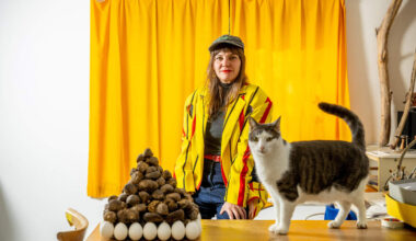 Dankzij deze virtuoze surrealiste belanden dieren én mensen uit Pulle en Herentals in musea over de hele wereld: “Ik schilder graag figuren uit mijn eigen omgeving”