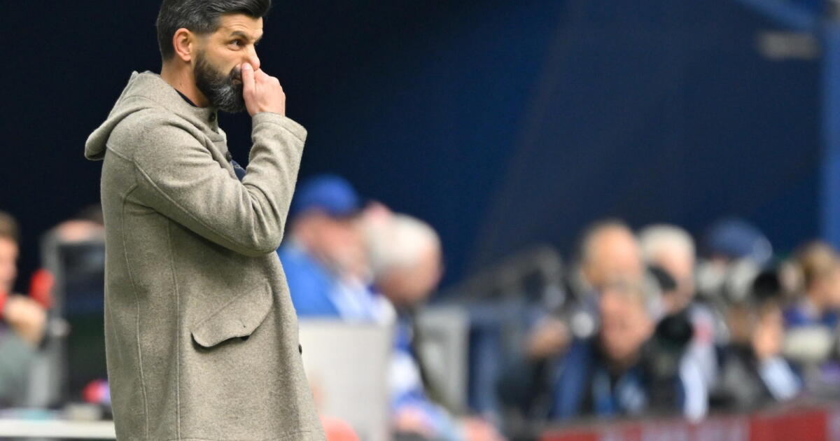 Schalke 04-trainer prijst FC Twente-fans: "Ik bedoel,…