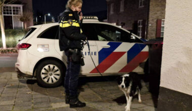 De hond werd uiteindelijk naar een asiel gebracht.